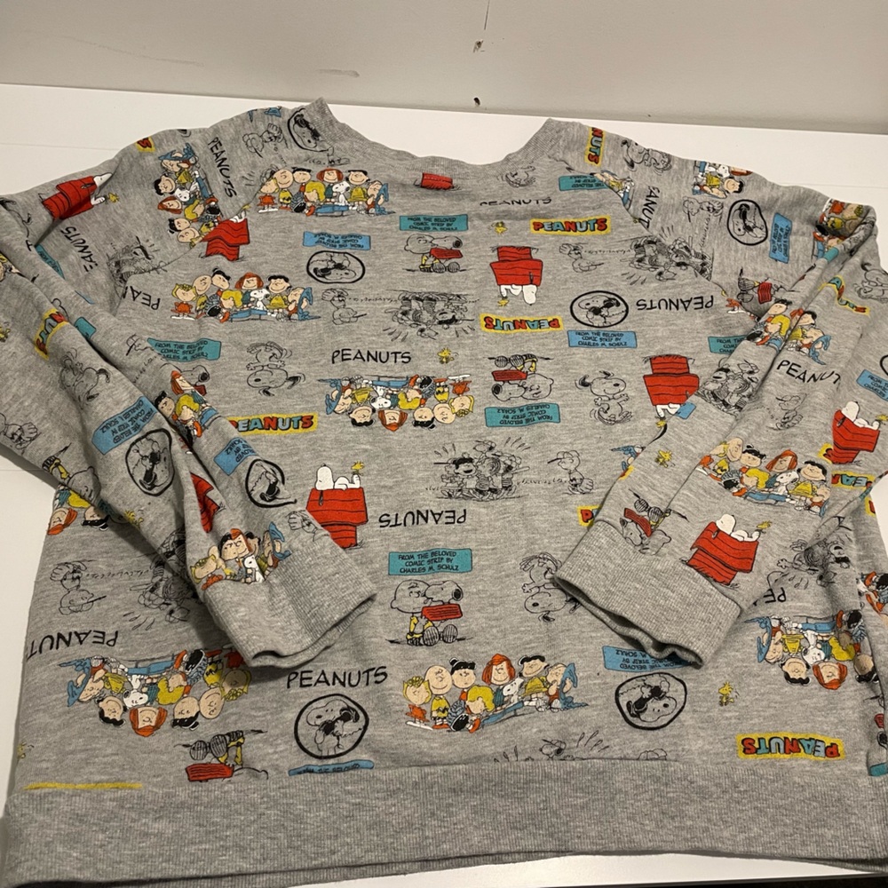 Mighty Fine Presents PEANUTS Size XL Gray Snoopy & Gang Crewneck Sweatshirt